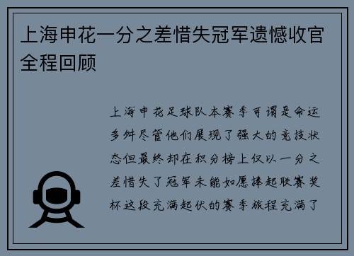 上海申花一分之差惜失冠军遗憾收官全程回顾 上海申花一分之差惜失冠军遗憾收官全程回顾