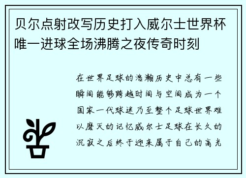 贝尔点射改写历史打入威尔士世界杯唯一进球全场沸腾之夜传奇时刻